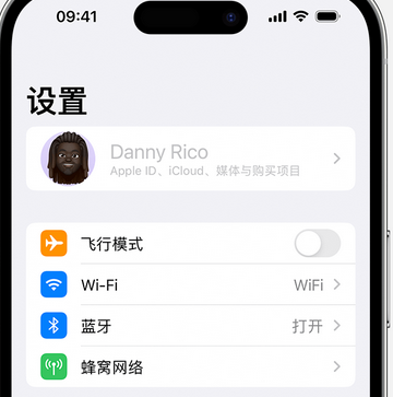 大城appleID维修服务iPhone设置中Apple ID显示为灰色无法使用 