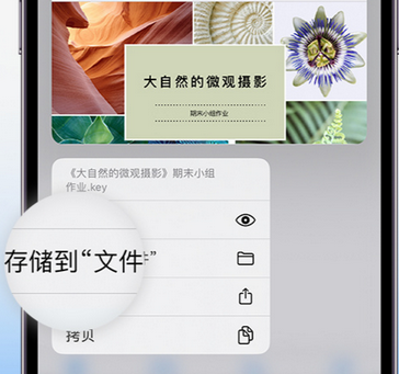 大城apple维修中心分享iPhone文件应用中存储和找到下载文件