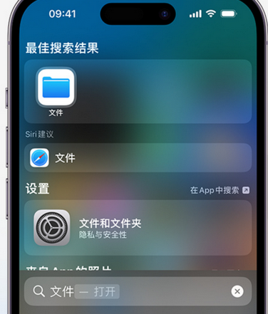 大城apple维修中心分享iPhone文件应用中存储和找到下载文件 