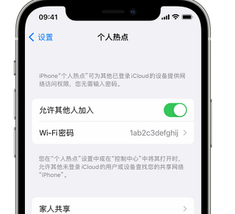 大城apple服务站点分享iPhone上个人热点丢失了怎么办 