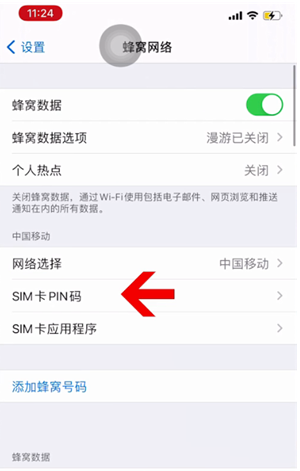 大城苹果14维修网分享如何给iPhone14的SIM卡设置密码 