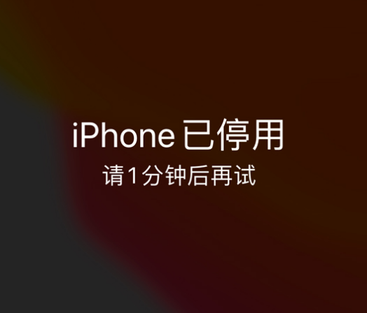 大城苹果手机维修分享:iPhone 显示“不可用”或“已停用”怎么办？还能保留数据吗？ 