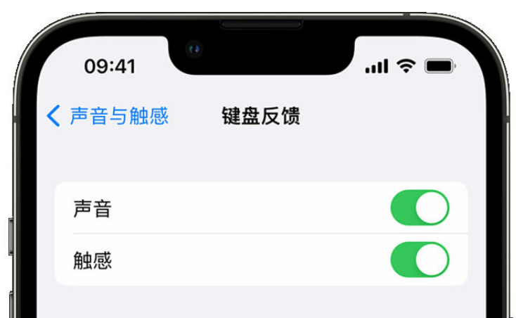 大城苹果手机维修分享iPhone 14触感键盘使用方法 