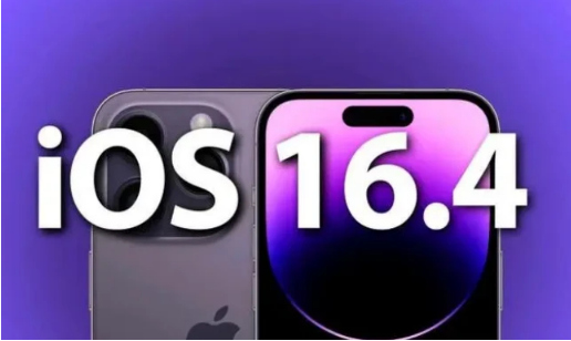 大城苹果14维修分享：iPhone14可以升级iOS16.4beta2吗？ 