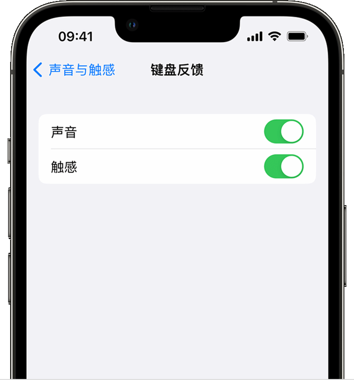 大城苹果14维修店分享如何在 iPhone 14 机型中使用触感键盘 