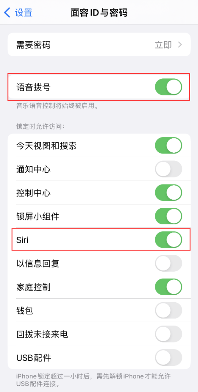 大城苹果维修网点分享不解锁 iPhone 的情况下通过 Siri 拨打电话的方法 