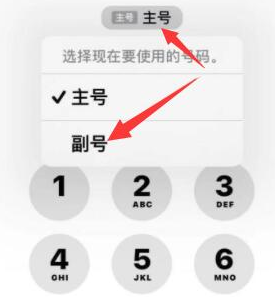 大城苹果14维修店分享iPhone 14 Pro Max使用副卡打电话的方法 