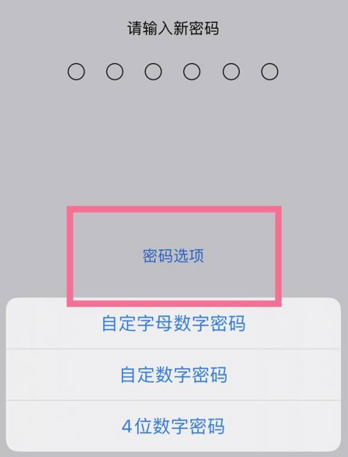 大城苹果14维修分享iPhone 14plus设置密码的方法 