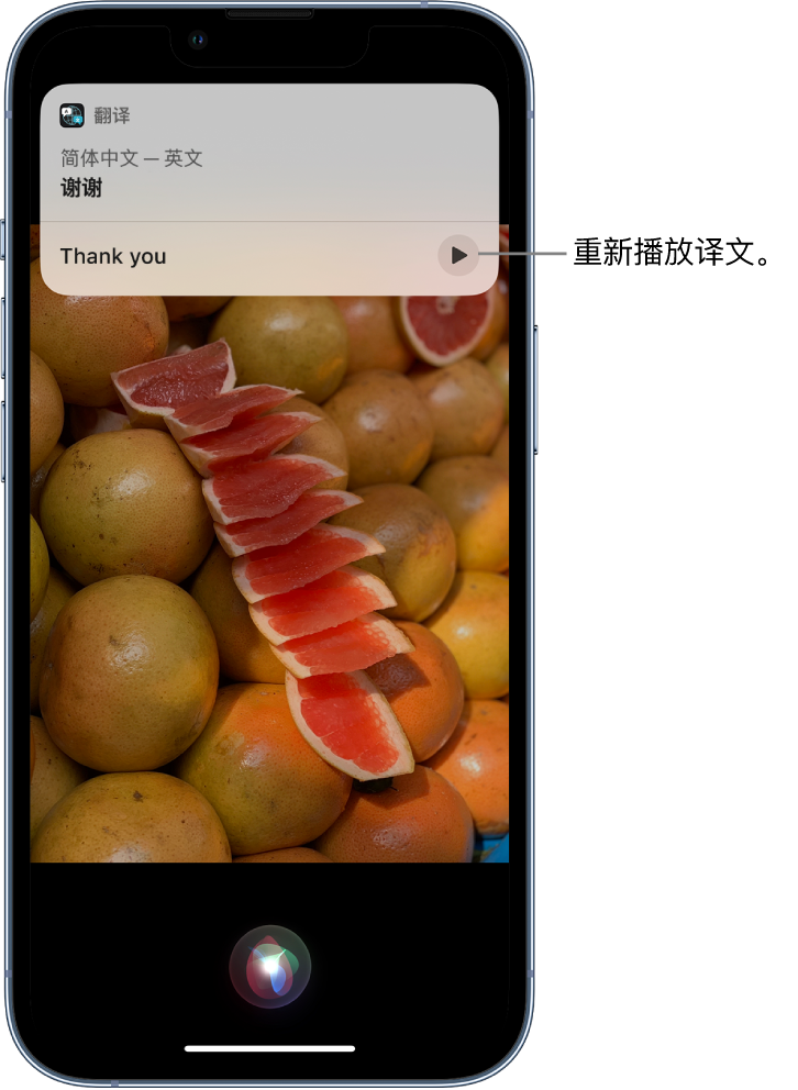 大城苹果14维修分享 iPhone 14 机型中使用 Siri：了解 Siri 能帮你做什么 