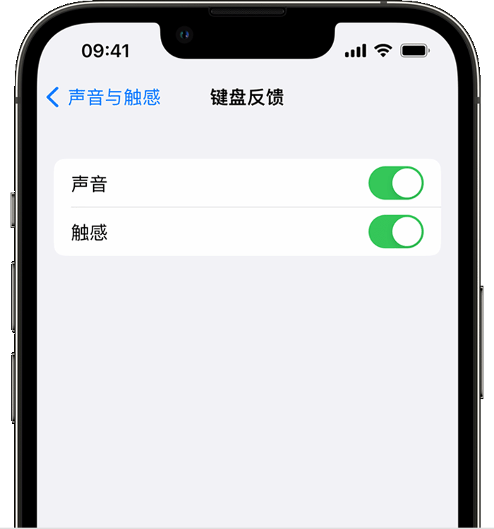 大城苹果14维修分享iPhone 14 系列机型如何开启键盘声音或触感反馈 