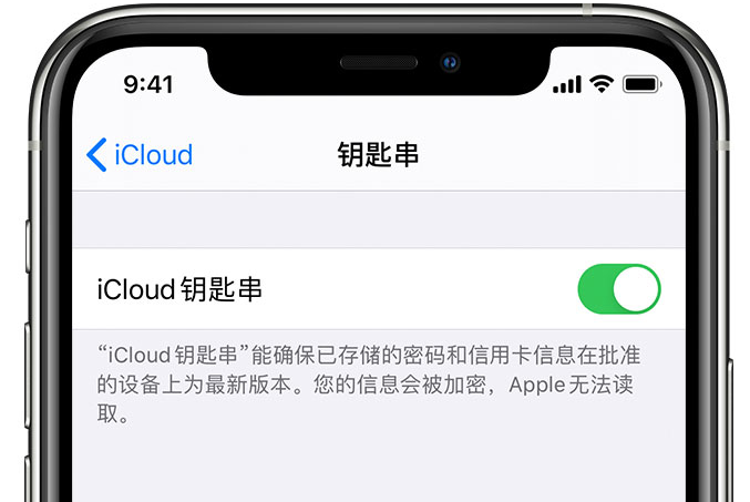 大城苹果手机维修分享在 iPhone 上开启 iCloud 钥匙串之后会储存哪些信息 