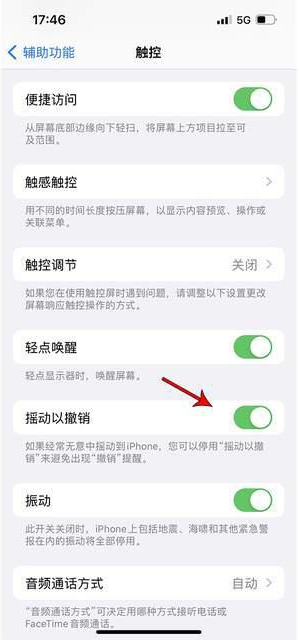 大城苹果手机维修分享iPhone手机如何设置摇一摇删除文字 