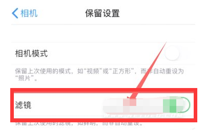 大城苹果13维修分享iPhone13拍照有绿点是怎么回事 