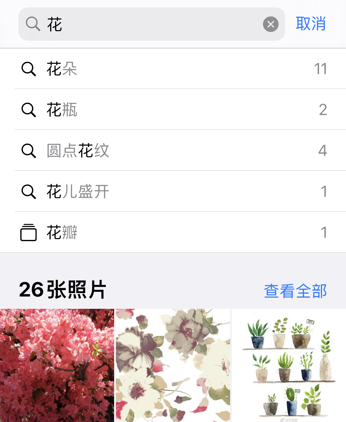 大城苹果手机维修分享iPhone 小技巧 