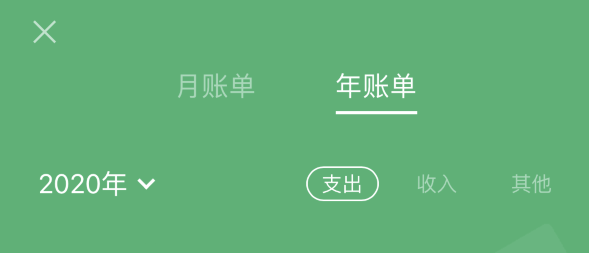 大城苹果手机维修分享如何在 iPhone 上查看支付宝和微信年支出账单 