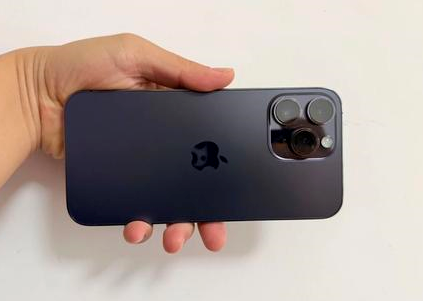 大城苹果维修点分享iPhone 14 Pro Max黑屏少见故障盘点 
